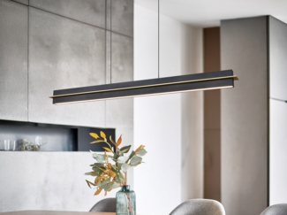 Trio Pendelleuchte Emerson 22W schwarz warmweiß-kaltweiß