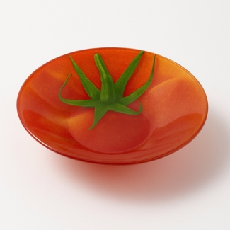 ARIA FRESH Tomatenschale 25x25xh5cm