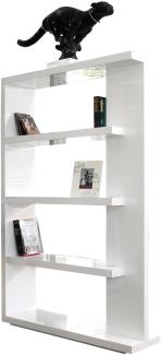 Raumteiler weiß Standregal Regal Trennwand Bücherregal Wohnzimmer Schrank