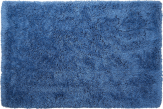 Teppich blau 200 x 300 cm Hochflor CIDE