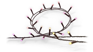 Philips Hue Festavia Lichterkette 20m 250 LEDs.