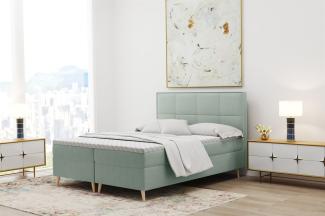 Boxspringbett Schlafzimmerbett RENAN 180x220cm in Stoff Riviera Mint