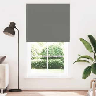 vidaXL Verdunkelungsrollo Grau 135x210cm Stoffbreite 131,6cm Polyester 4011187