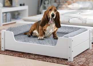 Kuscheliges Haustierbett 80x50 cm, Kiefer weiß V-30.32-W-80x50Rollrost und Matratze inkl.