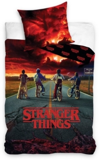 Stranger Things Bettwäsche für Teenager 135x200 80x80 cm mit Dustin Mike Lukas und Will mit Reißverschluss