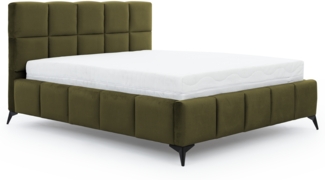 Eltap Bett Mist(Nube 33) 160x200 Metallrahmen, Gaslift, Box, Grün, 220 x 113,5 x 160 cm