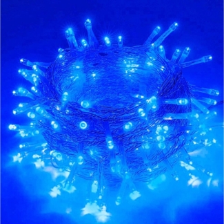 Rosnek Lichterkette 20M/30M/50M/100M 31V DC LED-Lichterkette, Timer, Speicherfunktion, 8 Modi für Zuhause Garten Hof Hochzeit Weihnachtsfeier Feiertag