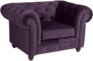 Sessel Kathe Bezug Samtvelours Buche nussbaum dunkel / purple 22501