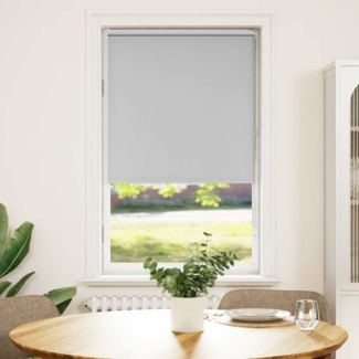 vidaXL Verdunkelungsrollo Hellgrau 65x150 cm Stoffbreite 60,7 cm 4011381