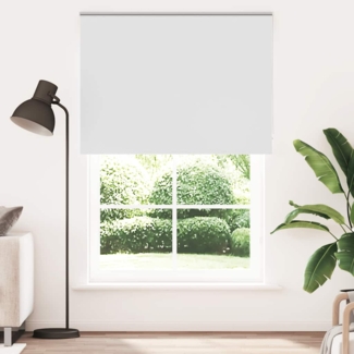 vidaXL Verdunkelungsrollo Weiß 160x210cm Stoffbreite 156,6cm Polyester 4011972