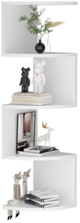 PFCTART Eckregal Wandmontierte Eckregale mit 5 Etagen, Klassisches Radial-Eck-Wandregal