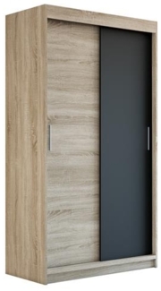 Schwebetürenschrank PAX 2-türig Schrank 120 cm (mit Spiegel) Farbe: Sonoma , schwarz