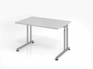 Schreibtisch C-Fuß 120x80 cm Grau/Silber