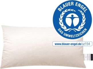Billerbeck Greta Daunenkissen 40x80 cm E 14