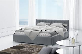 Polsterbett Bett Doppelbett DAVE Polyesterstoff Grau 160x200 cm