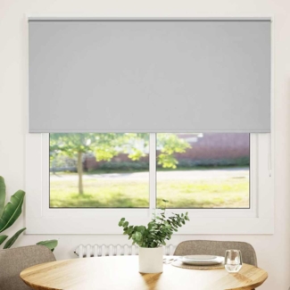 vidaXL Verdunkelungsrollo Hellgrau 150x175cm Stoffbreite 146,6cm 4011424