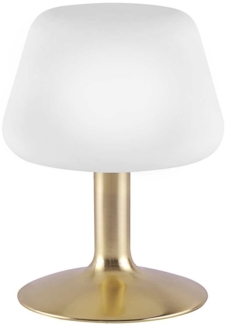 TILL Paul Neuhaus Tischleuchte, messing matt 1xG9 3W 3000K Innenleuchte, IP20 13619