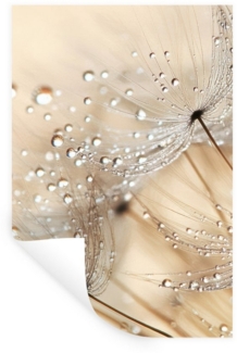 MuchoWow Wandsticker Löwenzahn - Abstrakt - Natur - Beige (1 St), Wandaufkleber, Selbstklebend, Wohnzimmer, 20x30 cm