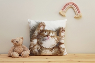 queence Dekokissen Katzenbaby, Kissenhülle mit HD Premium Druck, geruchsneutral, 40x40cm