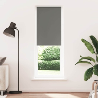vidaXL Verdunkelungsrollo Grau 75x210 cm Stoffbreite 70,7 cm Polyester 4011175