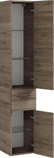 Hochschrank SOLINGEN-66 in Sanremo Eiche Terra quer Nb. - B/H/T: 30/168/33cm