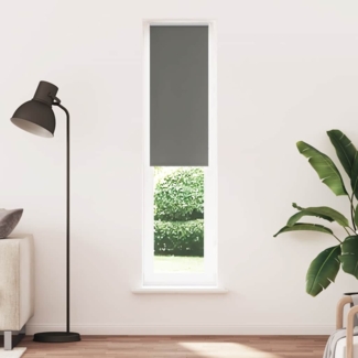 vidaXL Verdunkelungsrollo Grau 55x210 cm Stoffbreite 50,7 cm Polyester 4011171