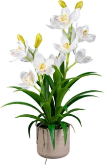 Kunstorchidee Orchidee Cymbidie Orchidee, Creativ green, Höhe 58 cm, mit traumhaft schönen Blüten