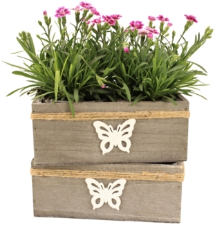 Online-Fuchs Blumentopf 2er Set Blumenschalen aus Holz mit Schmetterling Deko P76 (für Blumen und Kräuter, wasserdicht, Blumenkasten), Maße ca. 22 x 12,5 x 9 cm, Bastband