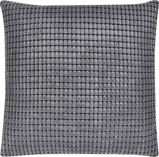 Kissen 2er Set Geometrisches Muster ASPIDISTRA Samtstoff 45 x 45 cm Grau