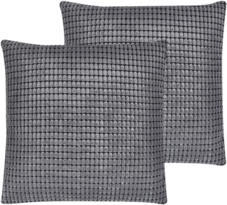 Kissen 2er Set Geometrisches Muster ASPIDISTRA Samtstoff 45 x 45 cm Grau