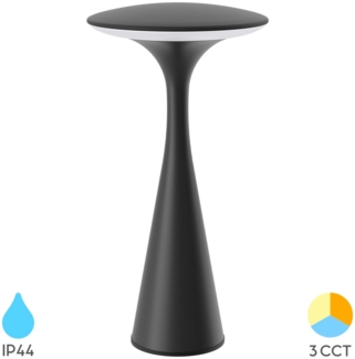 LED Tischlampe Touch Dimmbar mit Akku Tischleuchte Innen/Aussen Farbwahl CCT USB schwarz