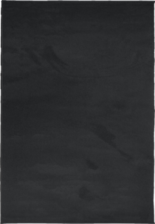 vidaXL Teppich OVIEDO Kurzflor Schwarz 140x200 cm 375557