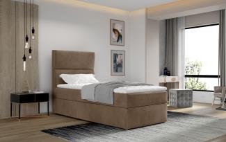 Wohnideebilder Arco 90x200 Creme Boxspringbett Arc_03