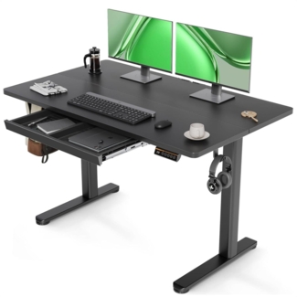 Höhenverstellbarer Schreibtisch 120x60 cm Elektrisch Standing Desk Schwarz
