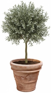 Pflanzgefäß Terrakotta "Doppio Bordo Festonato" 70cm