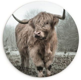 MuchoWow Gemälde Schottische Highlander - Natur - Herbst - Tiere - Wildtiere - Wald, Fotodruck (1 St), Kreis Wanddekoration, Rundes Wandbild, 30x30 cm