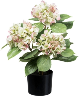 Kunstpflanze Hortensienbusch Hortensie, Creativ green, Höhe 53 cm, mit traumhaft schönen Blüten