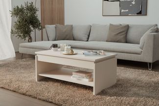 FORTE Couchtisch Couchtisch, Ablage, Stauraum, als Esstisch nutzbar, höhenverstellbar, B/H/T 100/45,7/56 cm