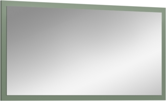 Spiegel (B/H/T: 106x55x2 cm) in Smoke Green Nachbildung und Spiegelglas