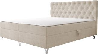 Mirjan24 Boxspringbett mit H3-Matratze Cylio II, beige, 200 x 200 cm