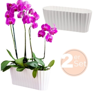GarPet Blumentopf 2x Orchideentopf Kunstoff Elegant Orchideen Über Pflanz Topf groß weiß
