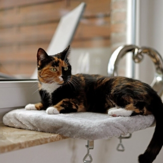 lionto Futternapf Fensterbankliege für Katzen, versch. Farben, hellgrau, abnehmbarer Bezug, waschbar