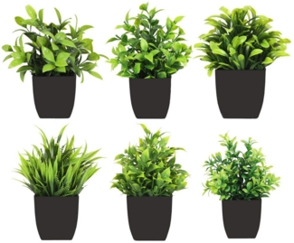 Künstliche Zimmerpflanze 6-teiliges Set künstlicher Blumentöpfe, Mini- Kunstpflanzen mit Topf, Coonoor, Tischdekoration Künstliche Zimmerpflanze für Zuhause/Büro/Draußen