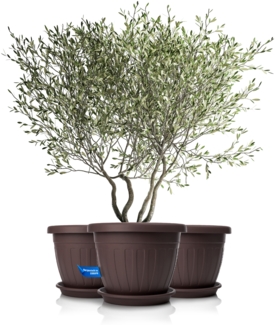 BigDean 3x Blumentopf mit Untersetzer rund ø50xH38 cm braun - wetterfester Pflanzkübel - Wasserablauf UV-beständig aus bruchsicherem Kunststoff - Innen + Außen geeignet - Made in Europe