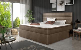 Boxspringbett FESTO 180x200 cm Stoff Monolith Braun