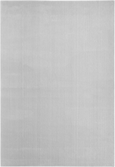 Flachwebteppich Bartolo 160x230 cm grau