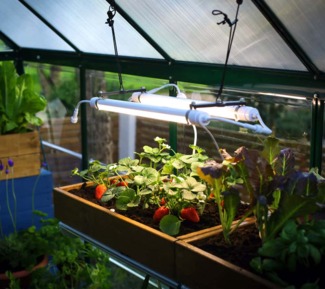 Palram - Canopia LED Pflanzenlampe Brighton | 201 cm