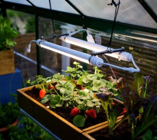 Palram - Canopia LED Pflanzenlampe Brighton | 201