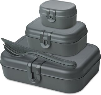 Koziol PASCAL READY Lunchbox-Set nature ash grey - A