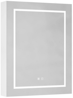 radelldar Badezimmerspiegelschrank Spiegelschrank bad mit Beleuchtung und Steckdosen,60x13x76cm 60cm Breit